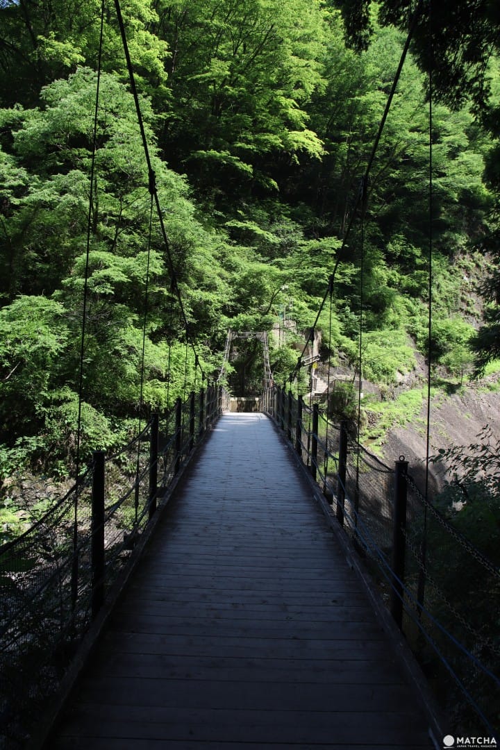 【茨城】茨城必去的5個代表景點 牛久大佛、鹿島神宮、筑波神社、袋田瀑布、偕樂園