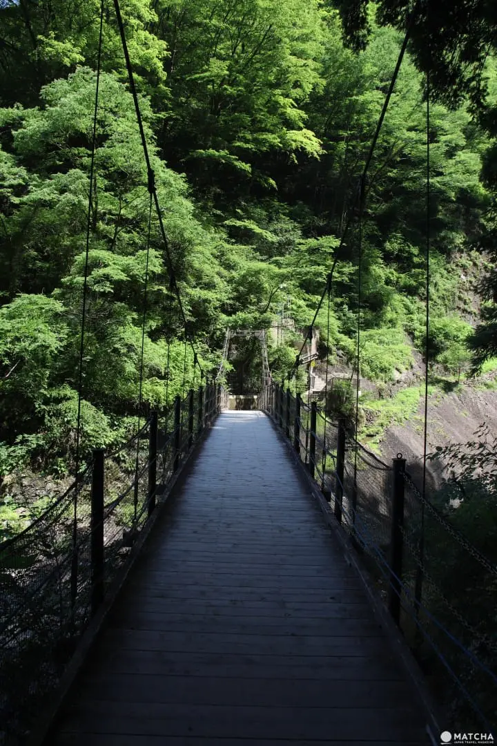 【茨城】茨城必去的5個代表景點 牛久大佛、鹿島神宮、筑波神社、袋田瀑布、偕樂園 