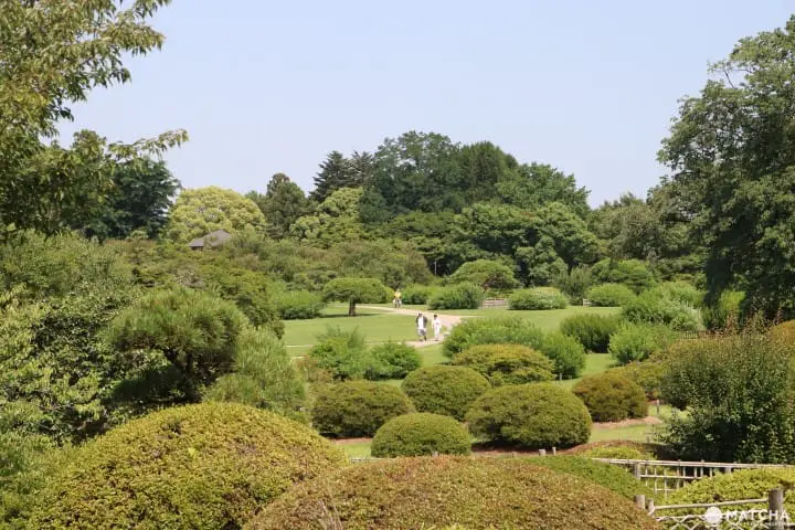 【茨城】茨城必去的5個代表景點 牛久大佛、鹿島神宮、筑波神社、袋田瀑布、偕樂園 