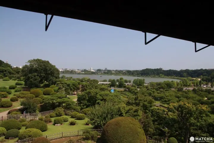 【茨城】茨城必去的5個代表景點 牛久大佛、鹿島神宮、筑波神社、袋田瀑布、偕樂園 