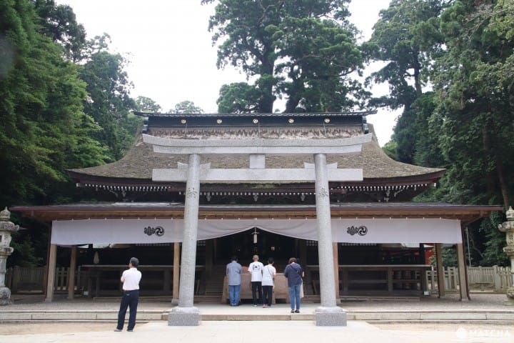 【茨城】茨城必去的5個代表景點 牛久大佛、鹿島神宮、筑波神社、袋田瀑布、偕樂園
