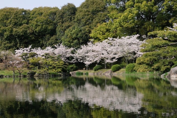 栗林公園