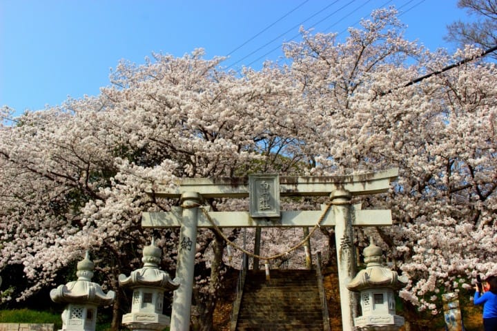 白山神社