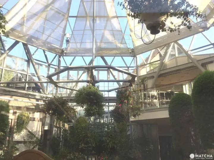 神戶布引香草園 一次擁抱海、夕陽和星空