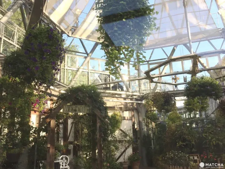 神戶布引香草園 一次擁抱海、夕陽和星空