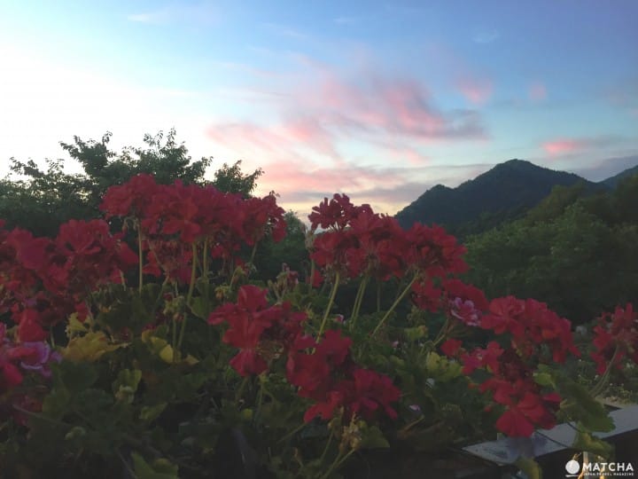 神户布引香草园 一次拥抱海、夕阳和星空