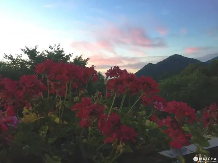 神戶布引香草園 一次擁抱海、夕陽和星空