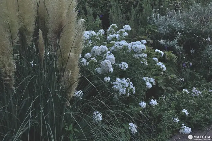 神戶布引香草園 一次擁抱海、夕陽和星空