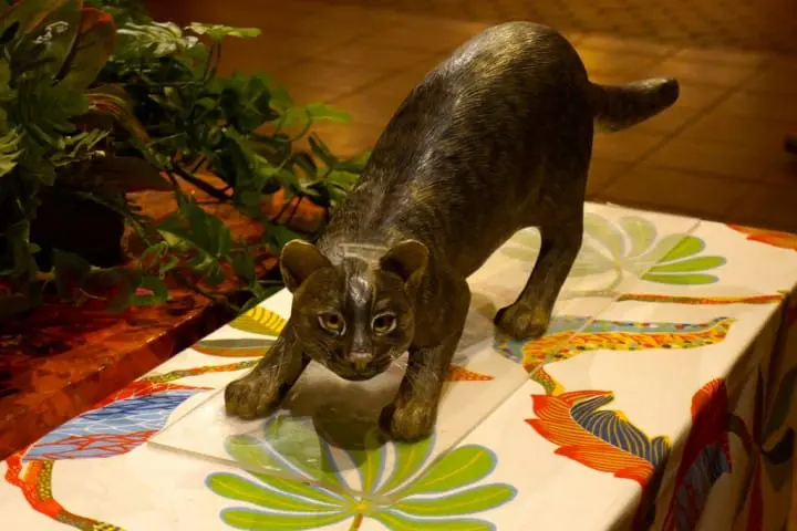 日本的神秘后乐园―西表岛观光推介