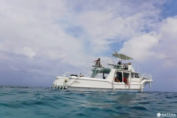 日本的神秘后乐园―西表岛观光推介