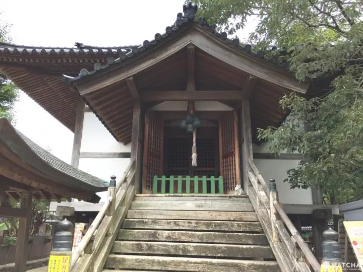 兔迷注意！加賀「月兔之鄉」 親子同遊與兔同樂