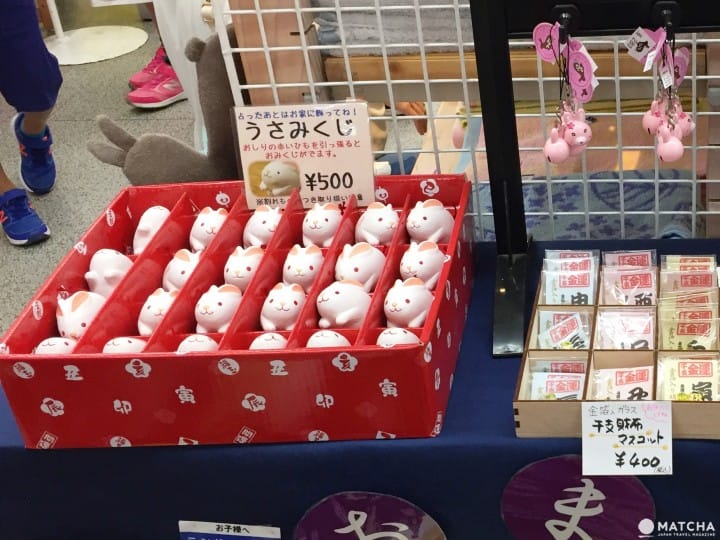 兔迷注意!加賀「月兔之鄉」 親子同遊與兔同樂