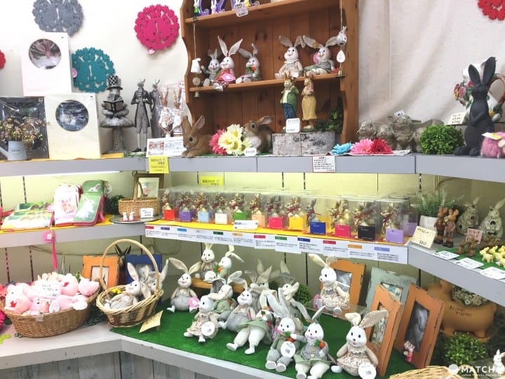 兔迷注意!加賀「月兔之鄉」 親子同遊與兔同樂
