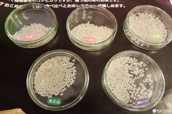 【新潟】大地艺术祭ー告诉您非去不可的魅力，错过又要再等三年!