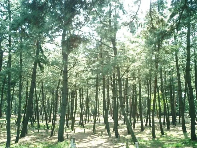 500日圓公車周遊券 敦賀一日遊