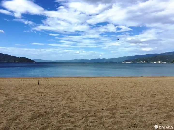 500日圓公車周遊券 敦賀一日遊