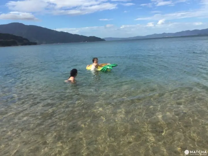 500日圓公車周遊券 敦賀一日遊