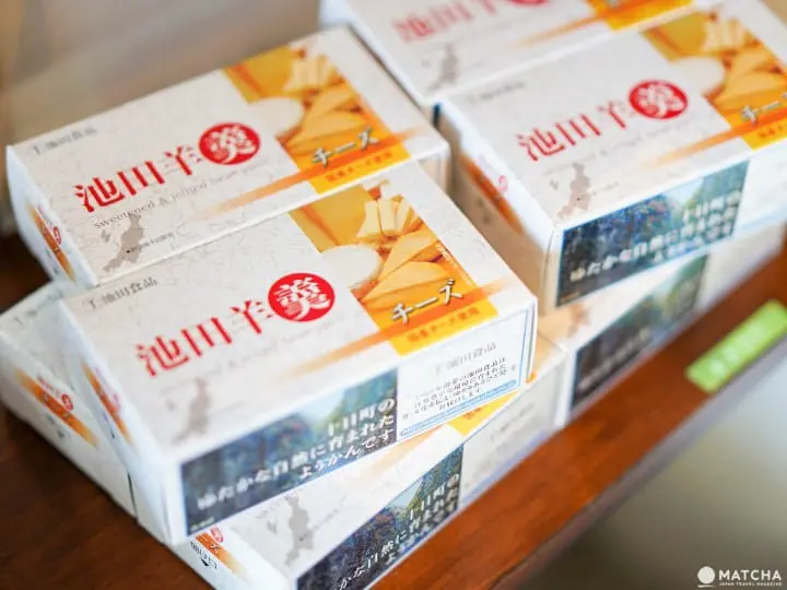 清澄白河HOZON起司羊羹