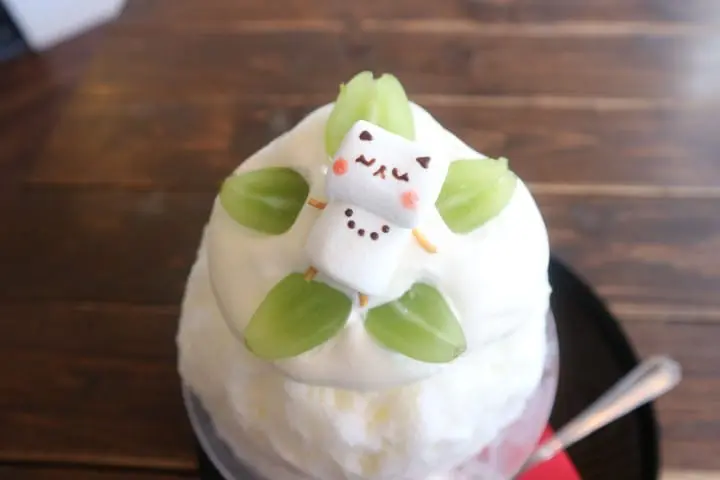 猫咪 东京 汤岛