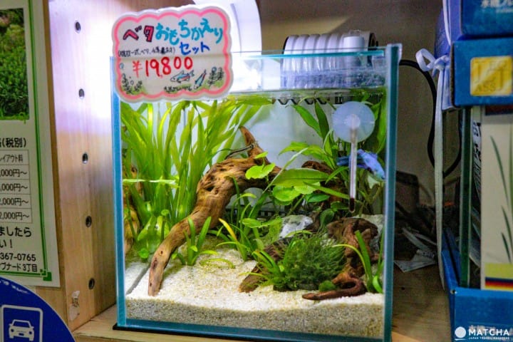 サブナード