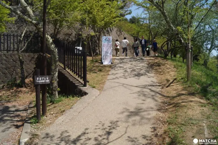 Thưởng ngoạn phong cảnh chùa Chureito 富士山・桜・五重塔が揃った“The Japan”な絶景スポット「忠霊塔」の楽しみ方