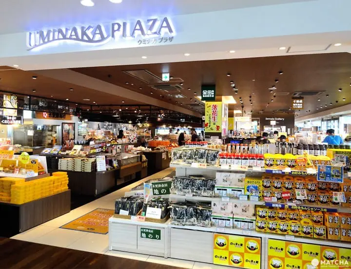 Stop and Shop at Tokyo Bay’s Umihotaru