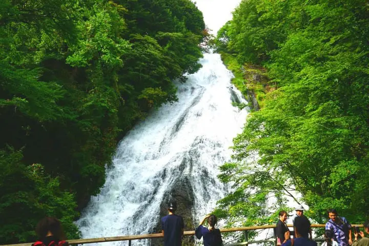 Nikko All Area Pass - Enjoy The Astounding Nature Of Nikko!