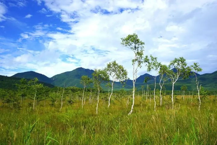 Nikko All Area Pass - Enjoy The Astounding Nature Of Nikko!