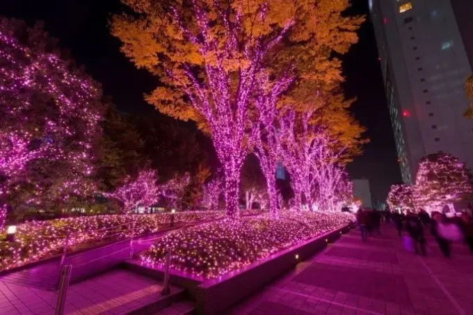 新宿冬季圣诞灯饰活动“MINA MIRUMI”