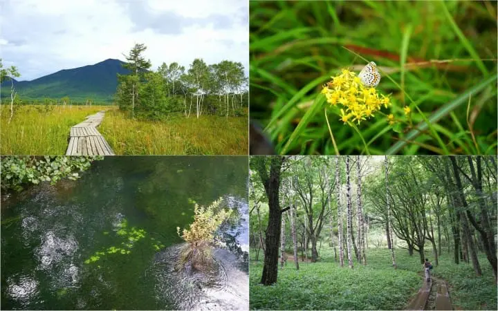 Nikko All Area Pass - Enjoy The Astounding Nature Of Nikko!