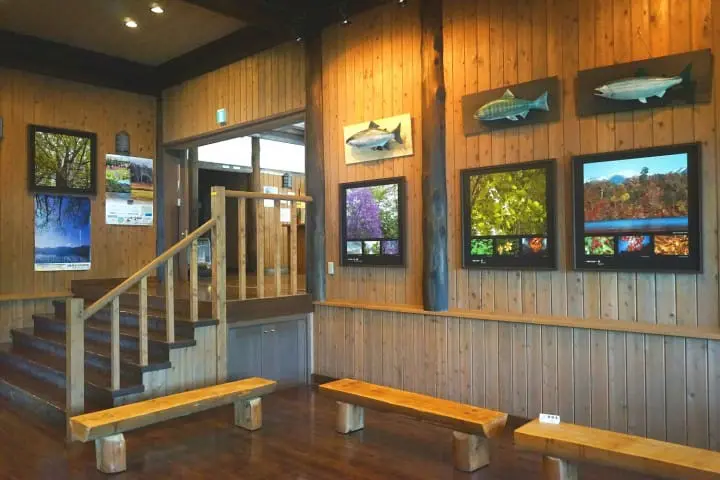 Nikko Pass Trip Day 2 - Discover The World Heritage Sites Of Nikko!