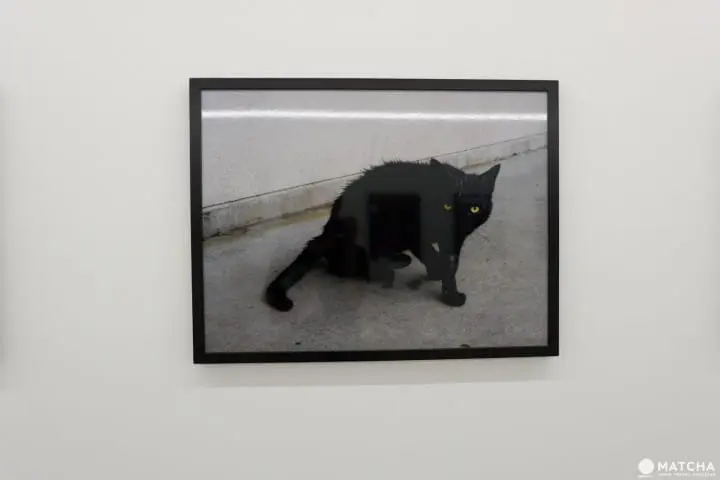 【表参道】南青山、表參道、原宿—文青免費看展之旅