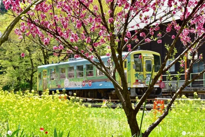 ［福井大野］四季皆美！大野自然景点介绍