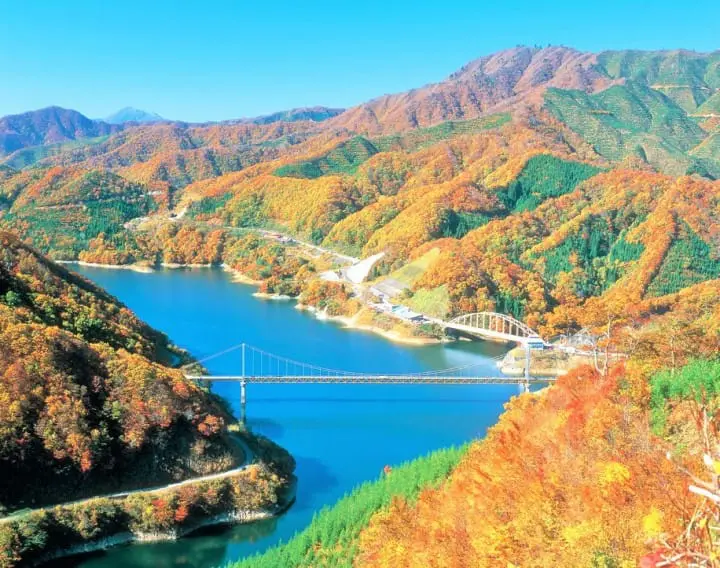 ［福井大野］四季皆美！大野自然景点介绍