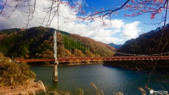 ［福井大野］四季皆美！大野自然景点介绍