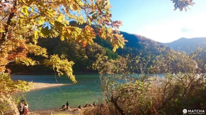 ［福井大野］四季皆美！大野自然景点介绍