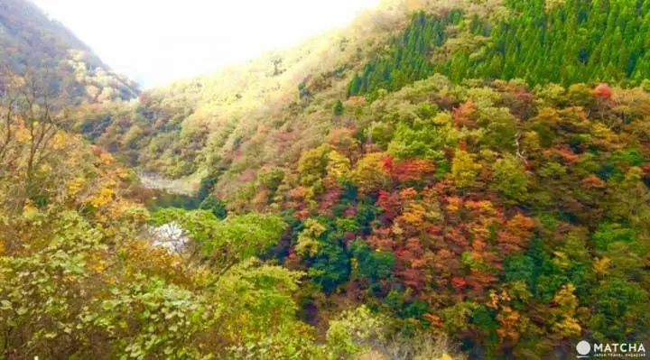 ［福井大野］四季皆美！大野自然景点介绍