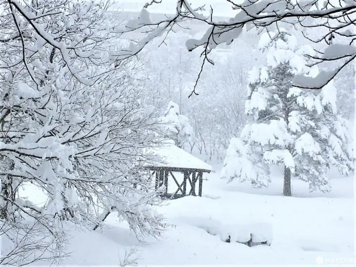 ［福井大野］四季皆美！大野自然景点介绍