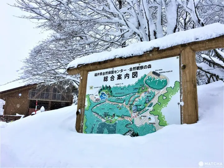 ［福井大野］四季皆美！大野自然景点介绍