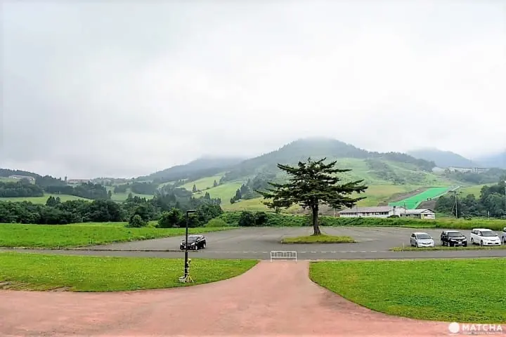 ［福井大野］四季皆美！大野自然景点介绍