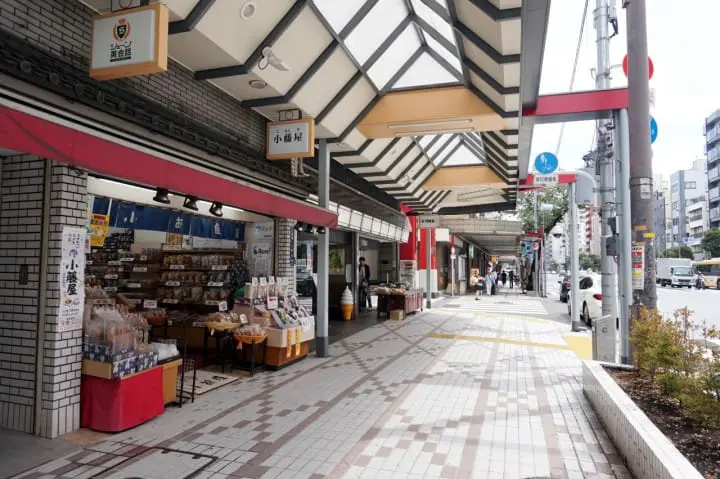 แพลนเที่ยวโตเกียวหนึ่งวันด้วยรถบัส ชมเมืองย้อนยุคและวิวกลางคืนของโอไดบะ!