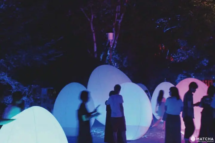 光影間交錯的糺之森