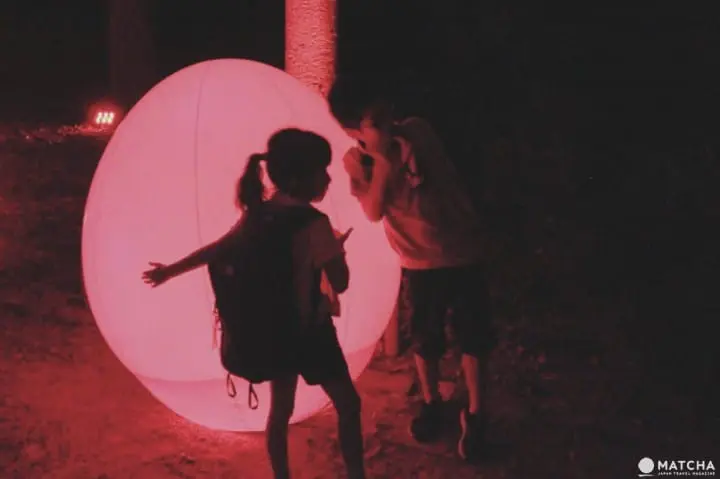 光影間交錯的糺之森