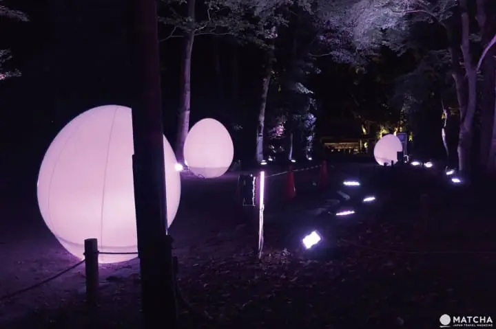 光影間交錯的糺之森