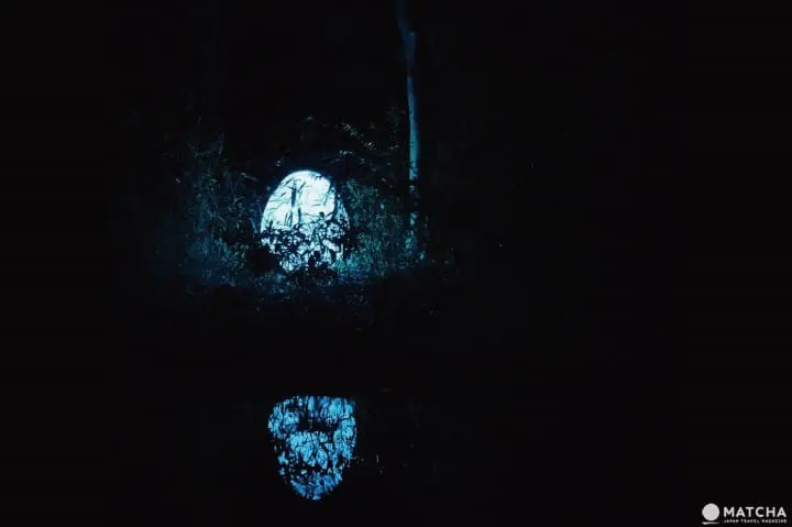 下鴨神社糺之森光之祭