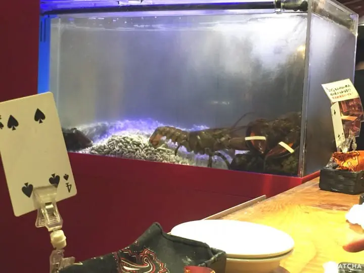 『大阪』居酒屋 現抓的最鮮 自己的螯蝦自己抓 