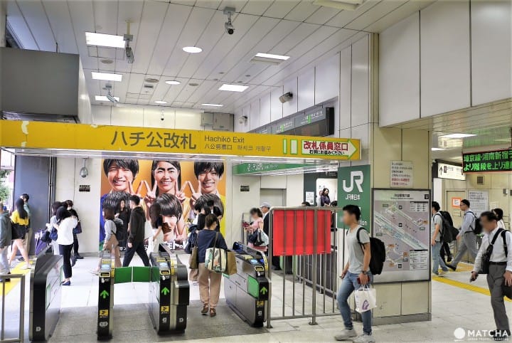 ハチ公改札