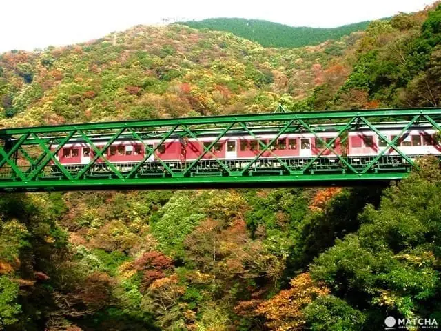 Menikmati Perjalanan Musim Gugur di Hakone selama 1 Hari