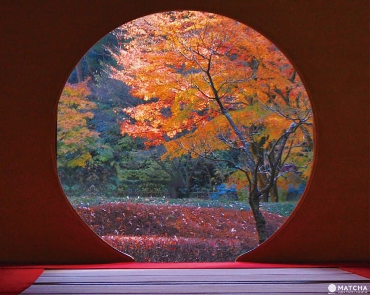 Los 4 Mejores Lugares para Observar las Hojas de Otoño de Kamakura en 2018: Templos, Parques y Mucho Más