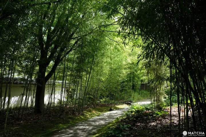 好古園竹林小徑